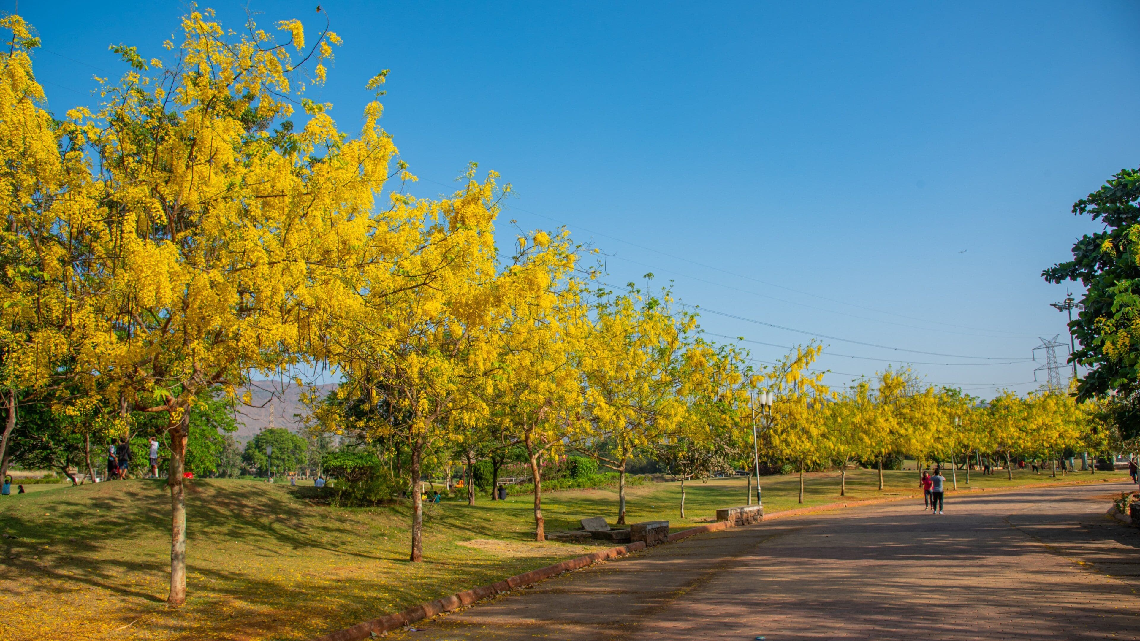 Central Park, Navi Mumbai showing a park