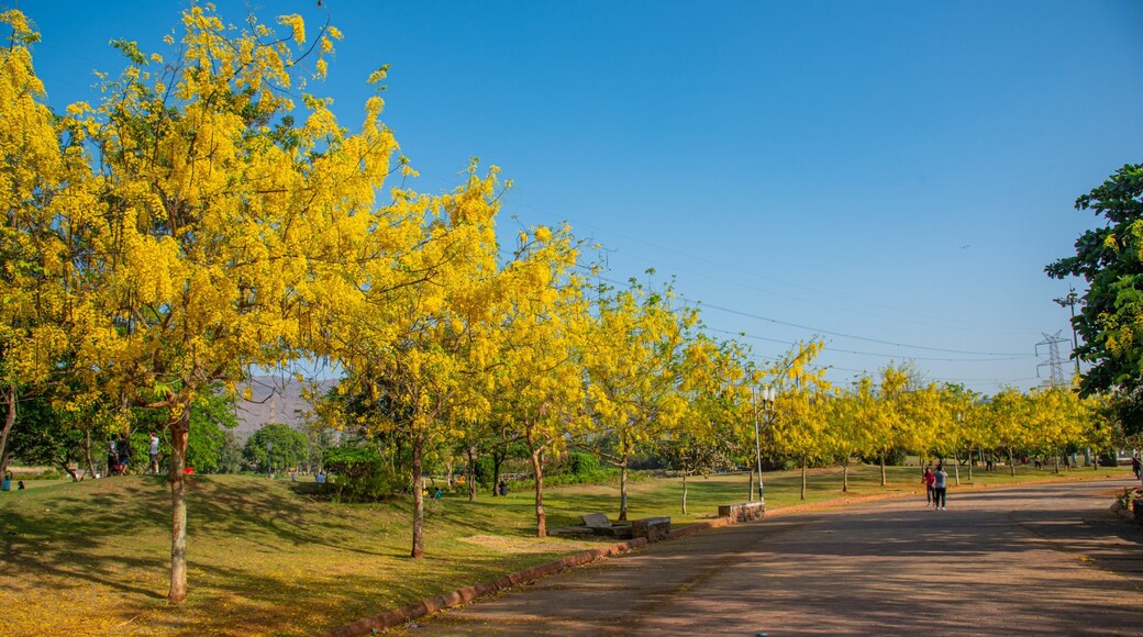 Central Park, Navi Mumbai showing a park