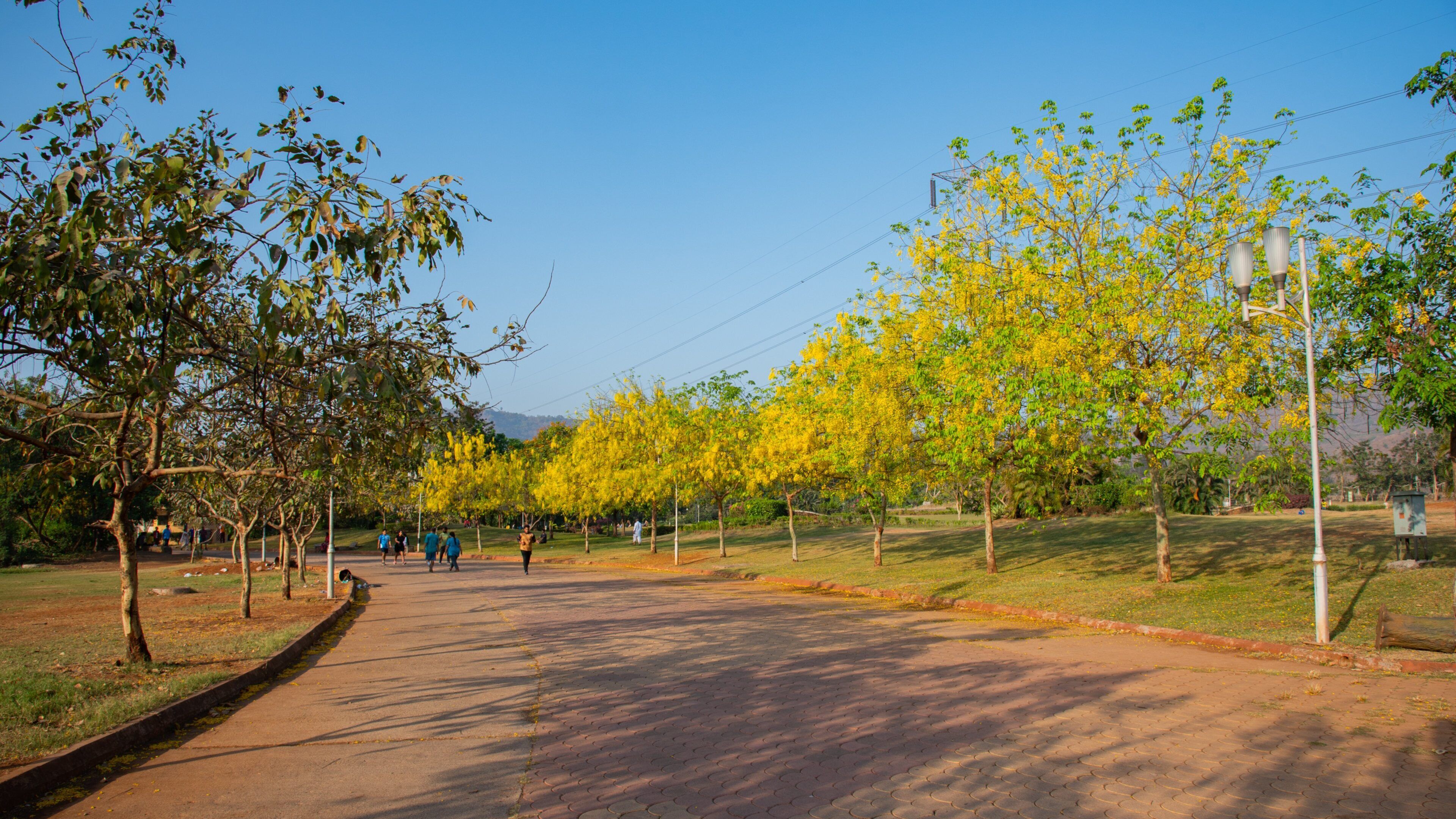 Central Park, Navi Mumbai showing a park