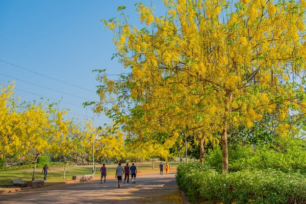 Central Park, Navi Mumbai featuring a park
