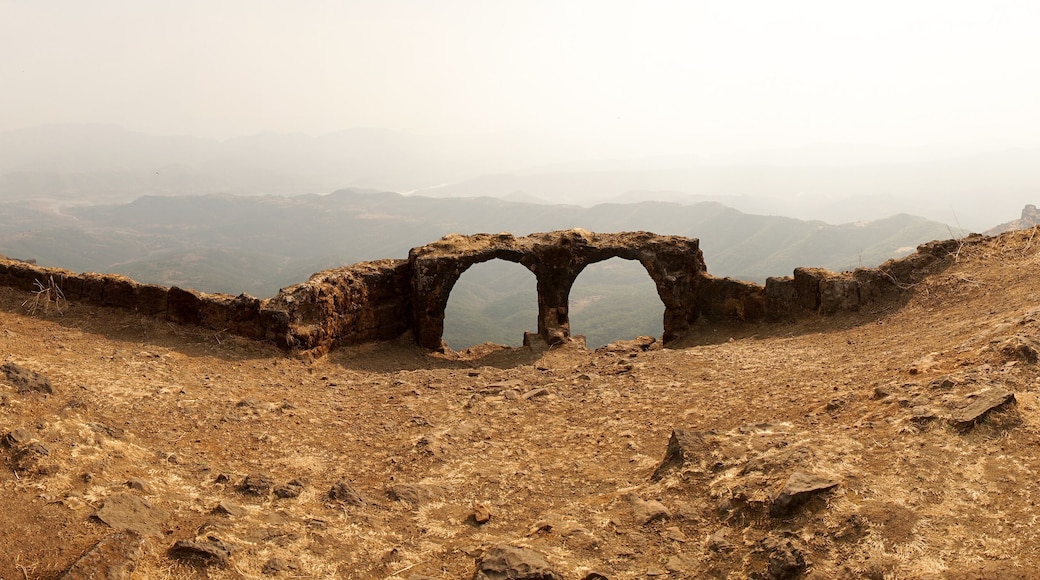 Rajgad Fort
