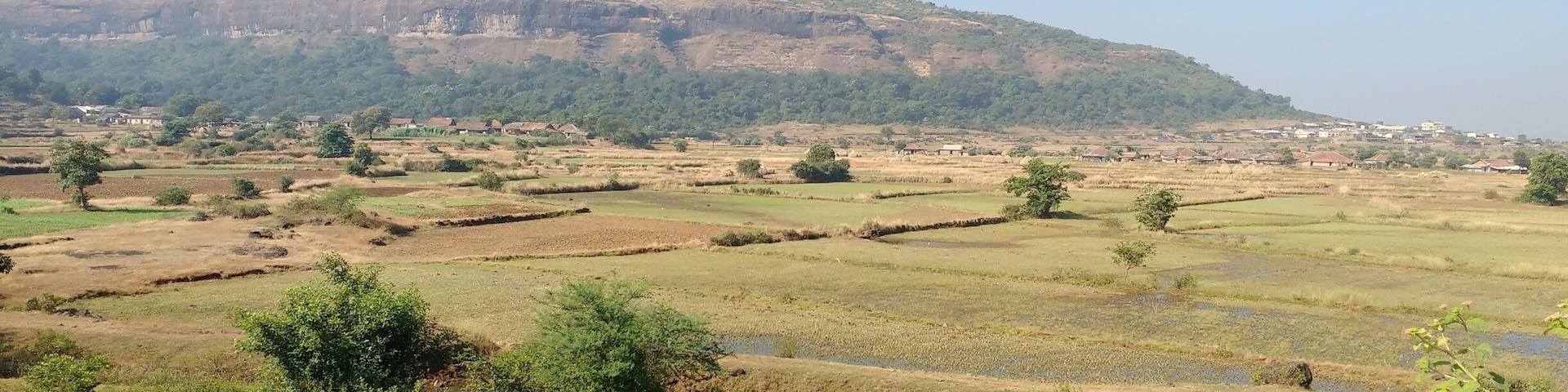 Maharashtran countryside...