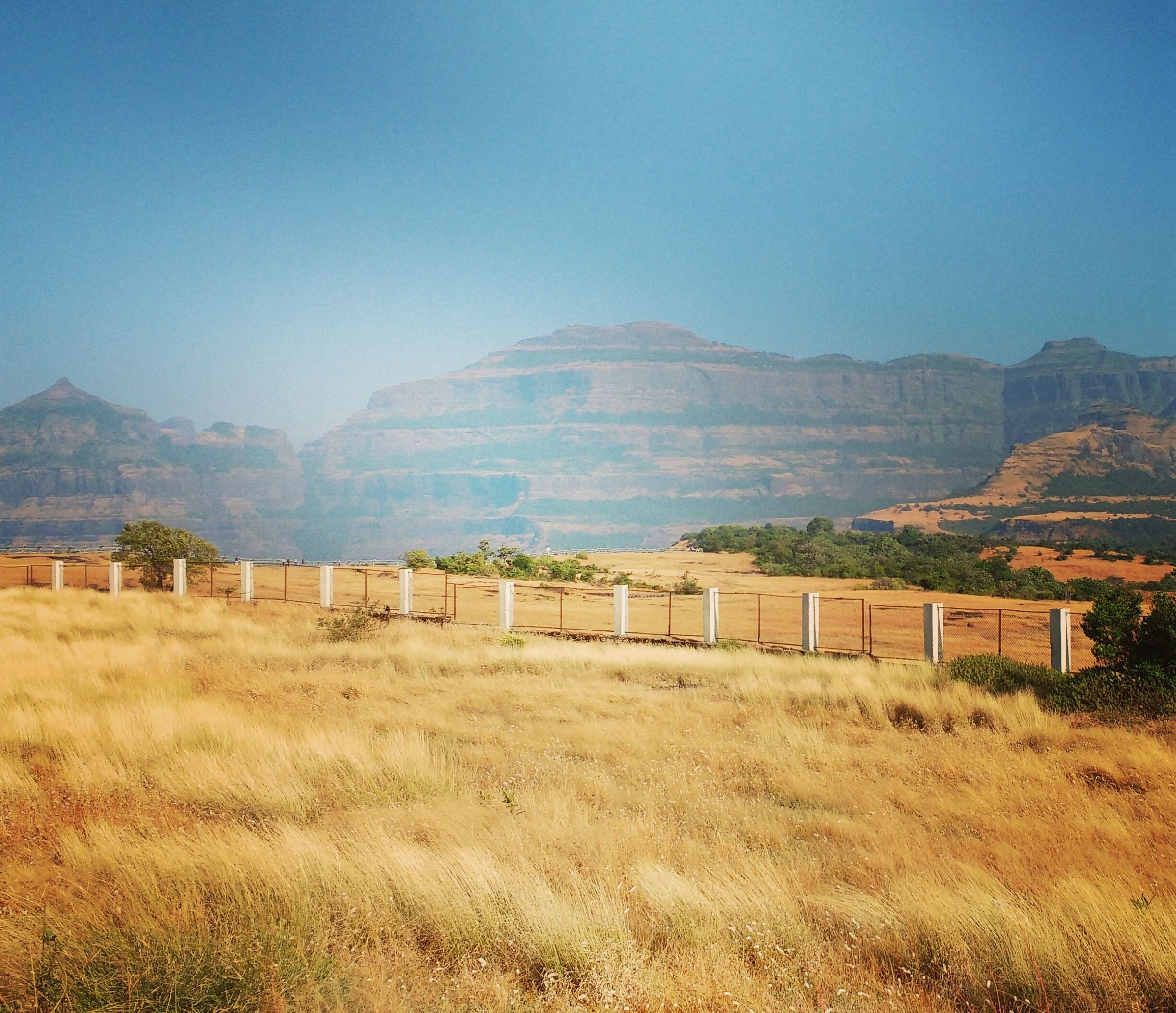 Sun-kissed grass and hills make for a peaceful and an Oh So Beautiful morning! #malshejghat #hills #sunkissedgrass #weekendgeaway #Maharashtra #tripaters