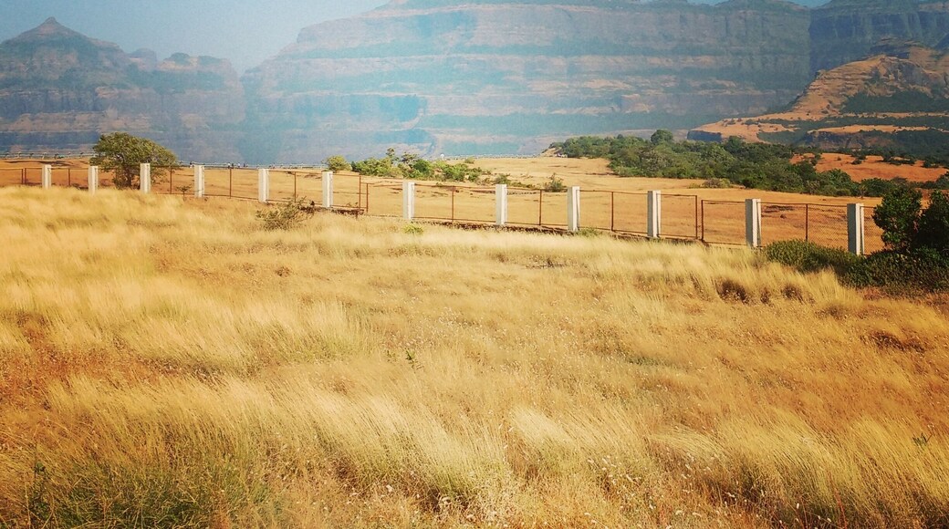 Sun-kissed grass and hills make for a peaceful and an Oh So Beautiful morning! #malshejghat #hills #sunkissedgrass #weekendgeaway #Maharashtra #tripaters