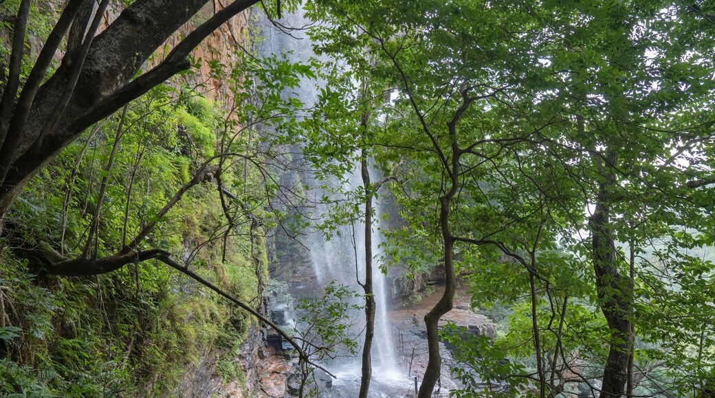 Talakona Water Falls view from trees,Andhra Pradesh