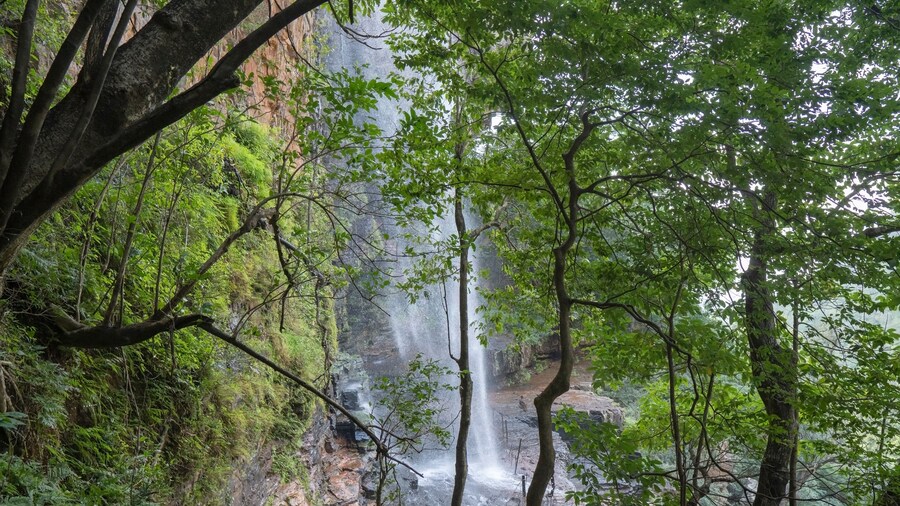Talakona Waterfalls