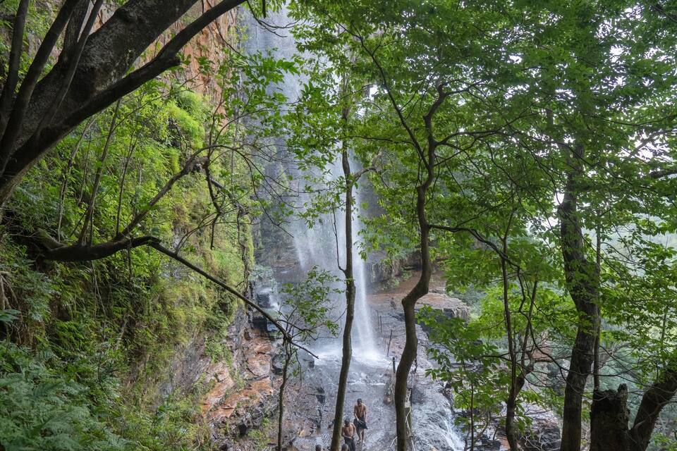 Una cascada en una zona boscosa amb vegetació exuberant i un terreny rocos.