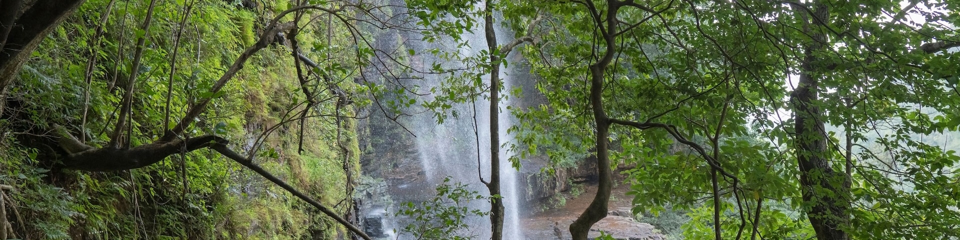 Talakona Water Falls view from trees,Andhra Pradesh