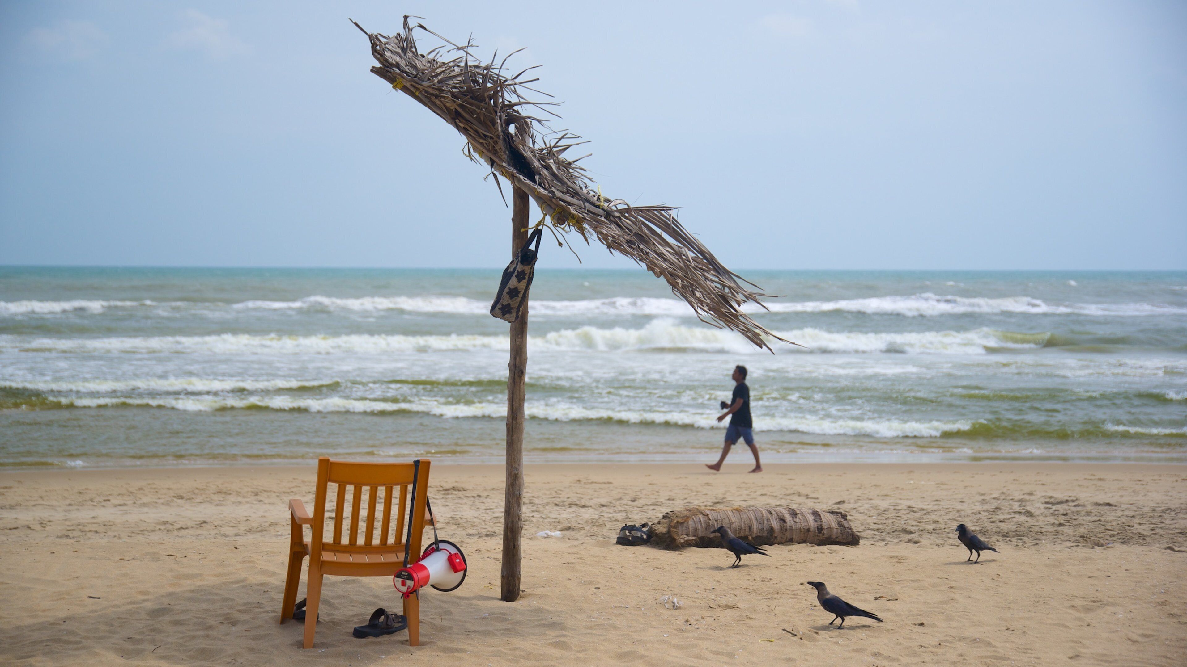 Pondicherry ofreciendo una playa y también un hombre