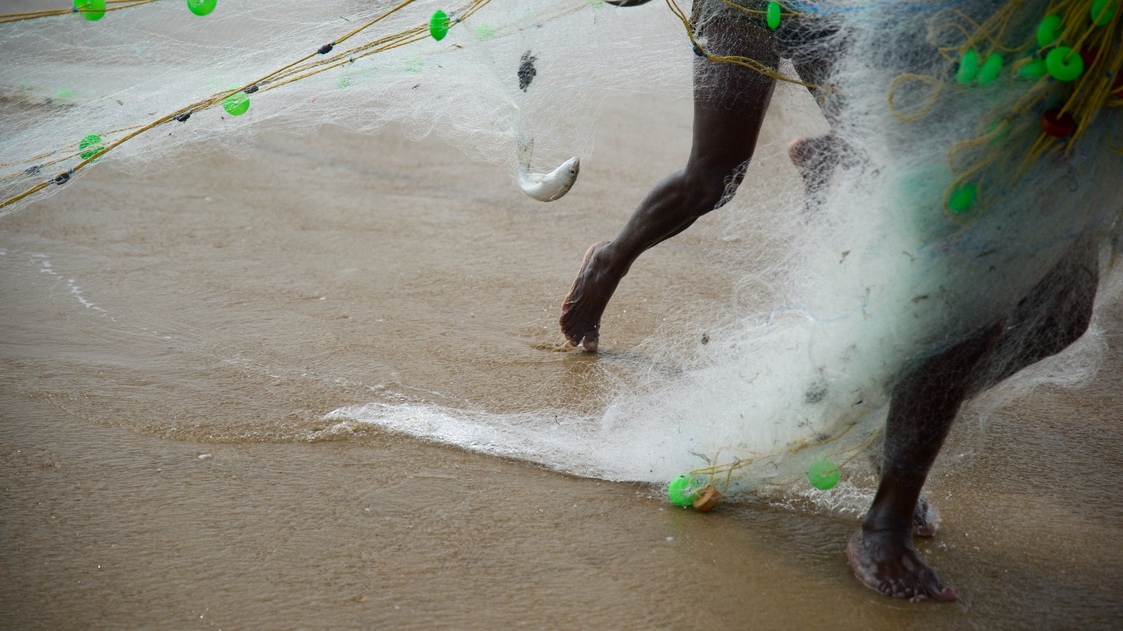 Pondicherry showing a beach and fishing