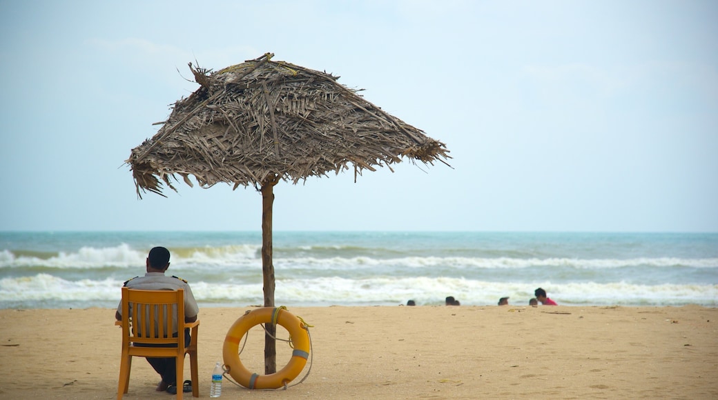 Pondicherry showing a sandy beach as well as an individual male