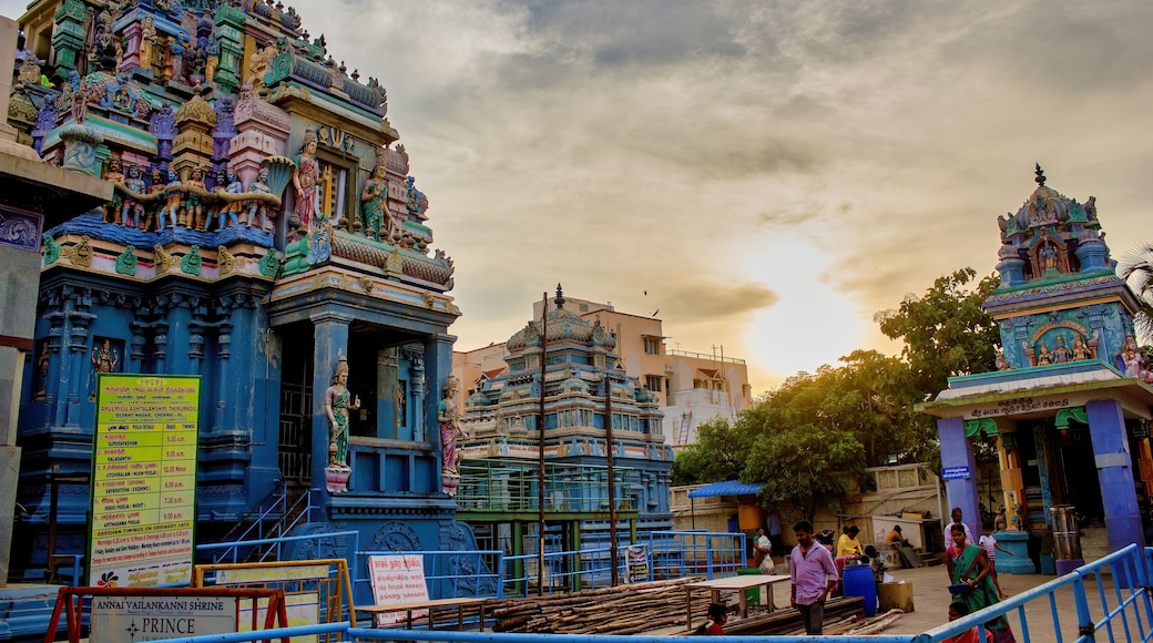 T ๋๊ฐ๋ฅด