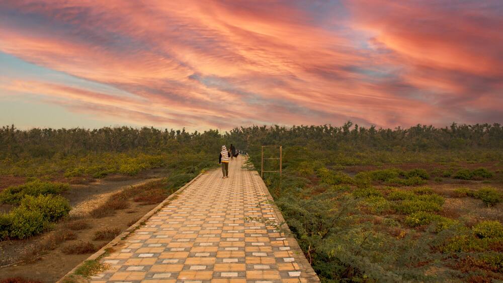 An young tourist on the beautiful and colorful path towords beach at the entry point of "Henry island" near Bakkhali sea beach, 24 Parganas, India.