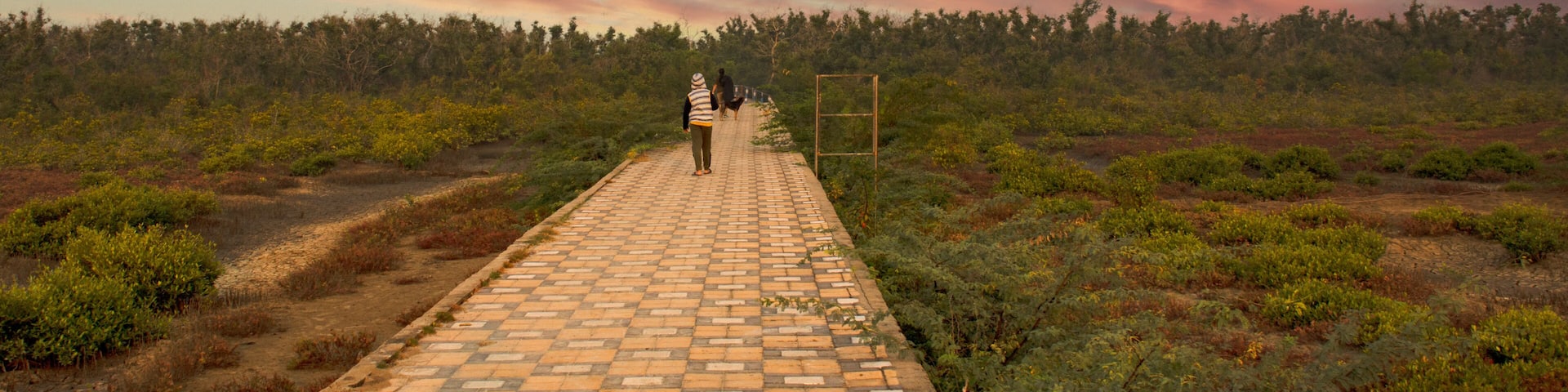 An young tourist on the beautiful and colorful path towords beach at the entry point of "Henry island" near Bakkhali sea beach, 24 Parganas, India.