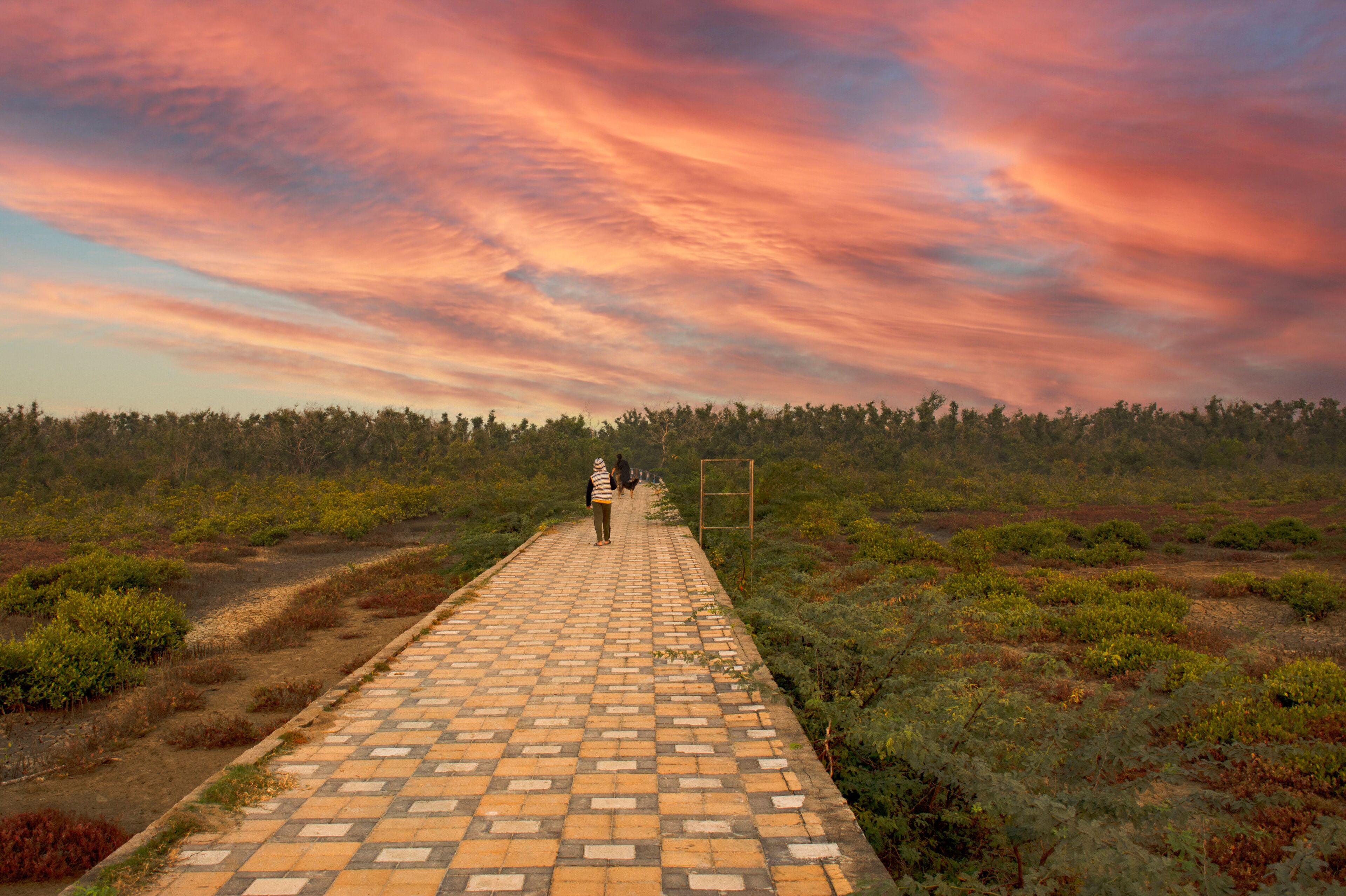 A paved pathway leading through a natural landscape with a forest in the background and a colorful sky above.