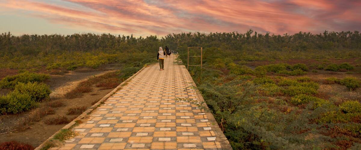 A paved pathway leading through a natural landscape with a forest in the background and a colorful sky above.