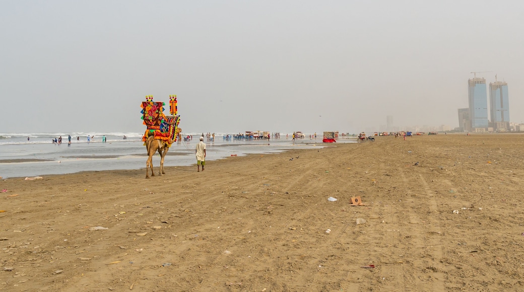 Karachi Clifton Beach 138