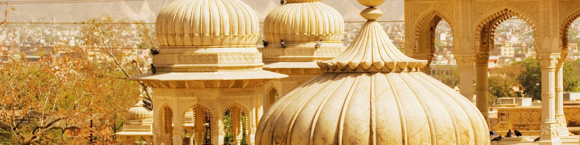 High angle view of domes of a palace, Royal Gaitor, Jaipur, Rajasthan, India