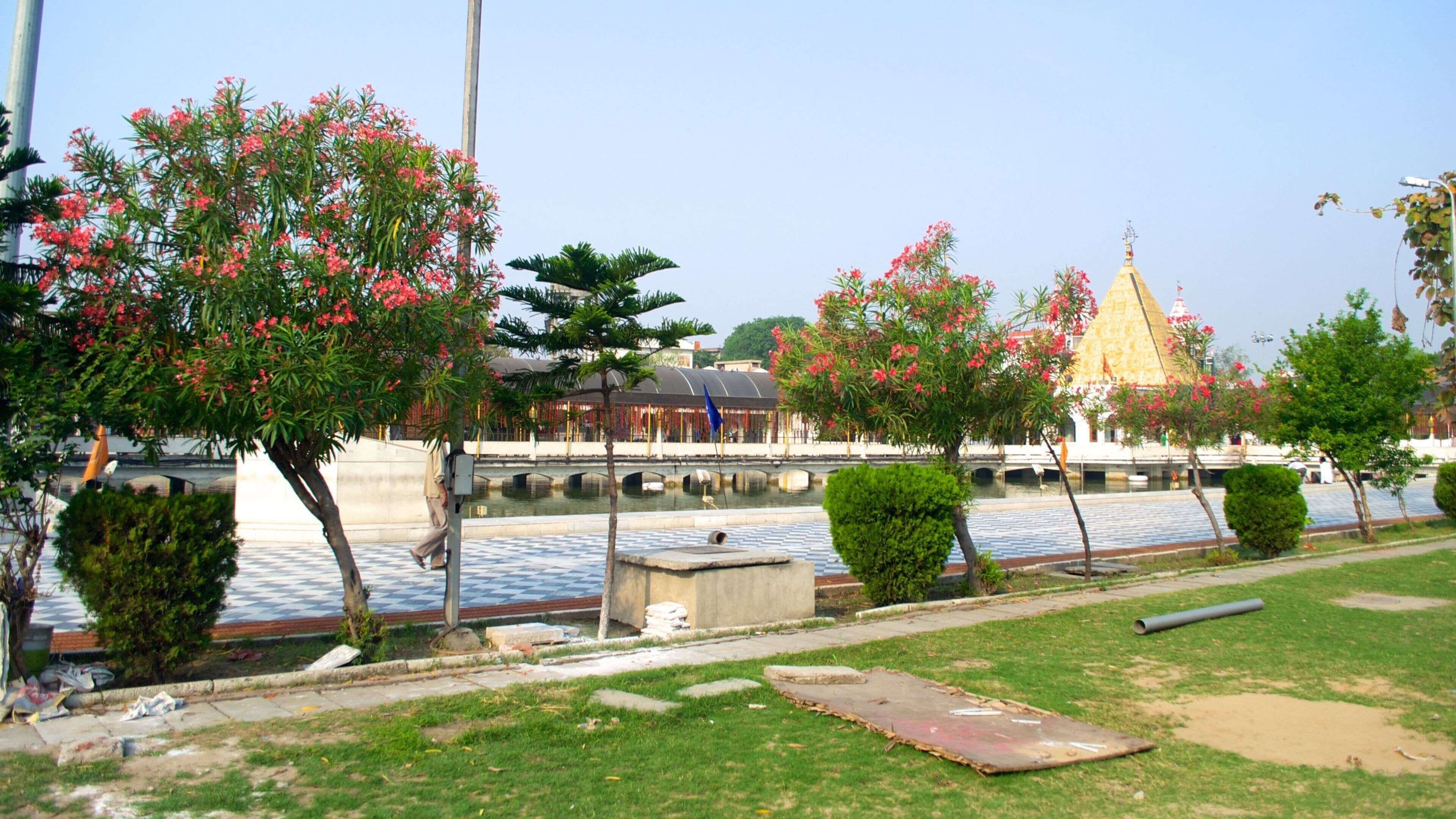 Jalandhar som viser tempel eller hellig sted og religiøse elementer