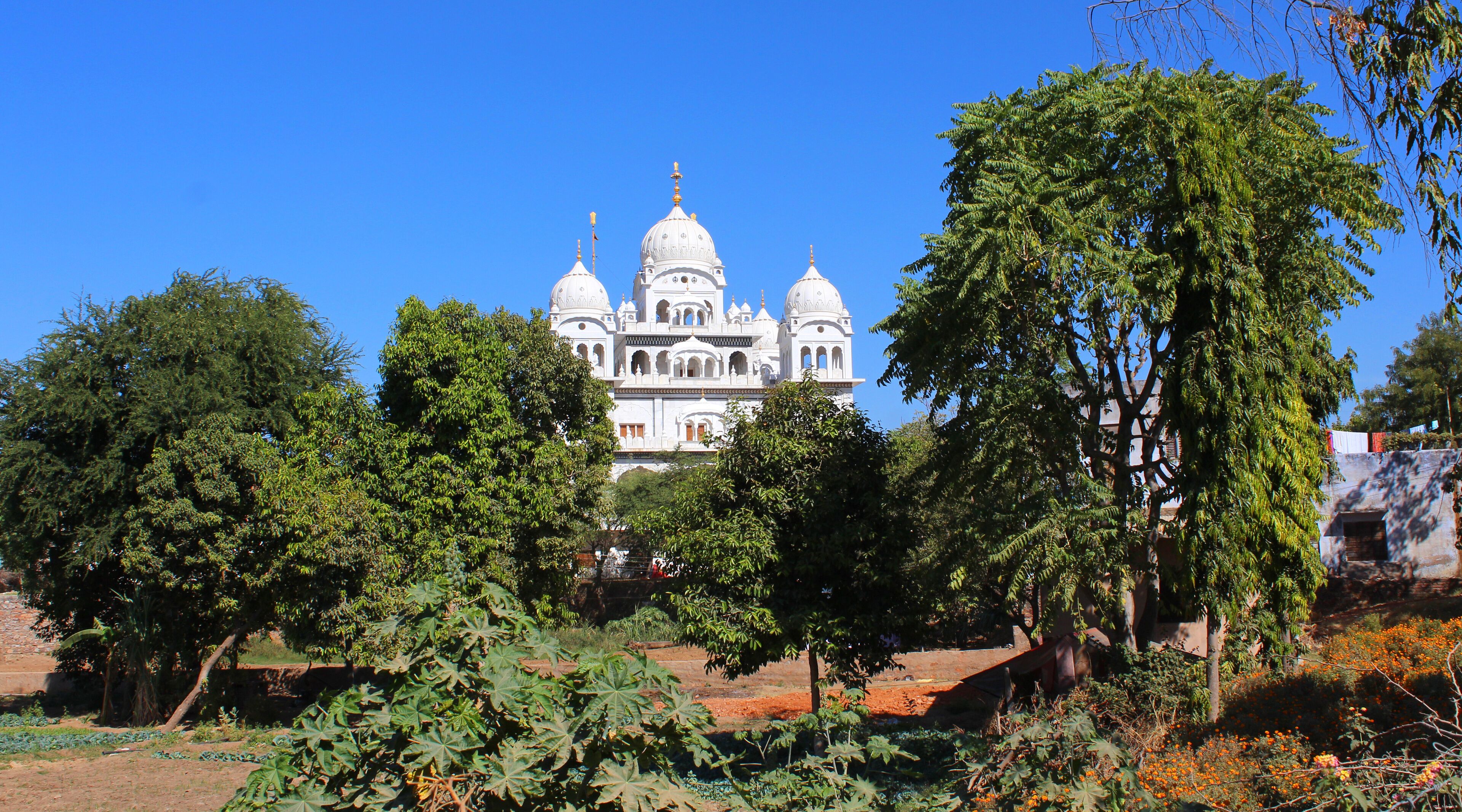 Gurdwara Singh Sabha / Temple sikh - Pushkar (Inde)