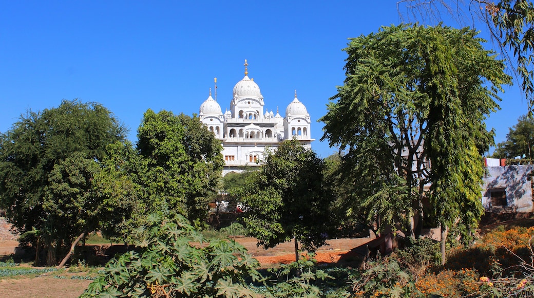 Gurdwara Singh Sabha / Temple sikh - Pushkar (Inde)