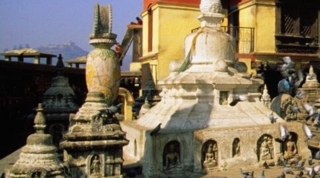 Pigeons in front of a temple, Monkey Temple, Katmandu, Nepal