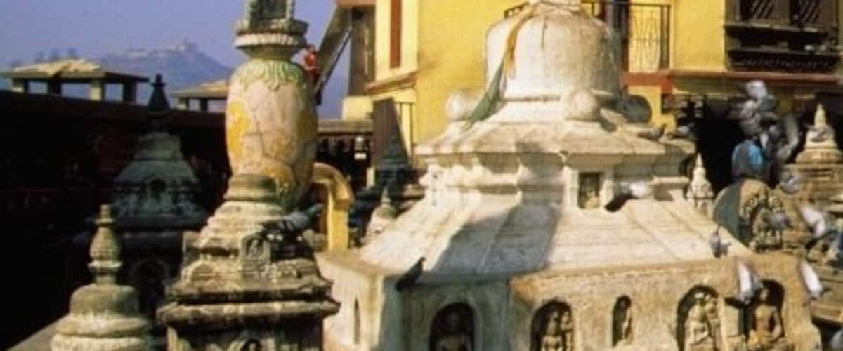Pigeons in front of a temple, Monkey Temple, Katmandu, Nepal