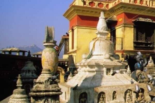 Pigeons in front of a temple, Monkey Temple, Katmandu, Nepal