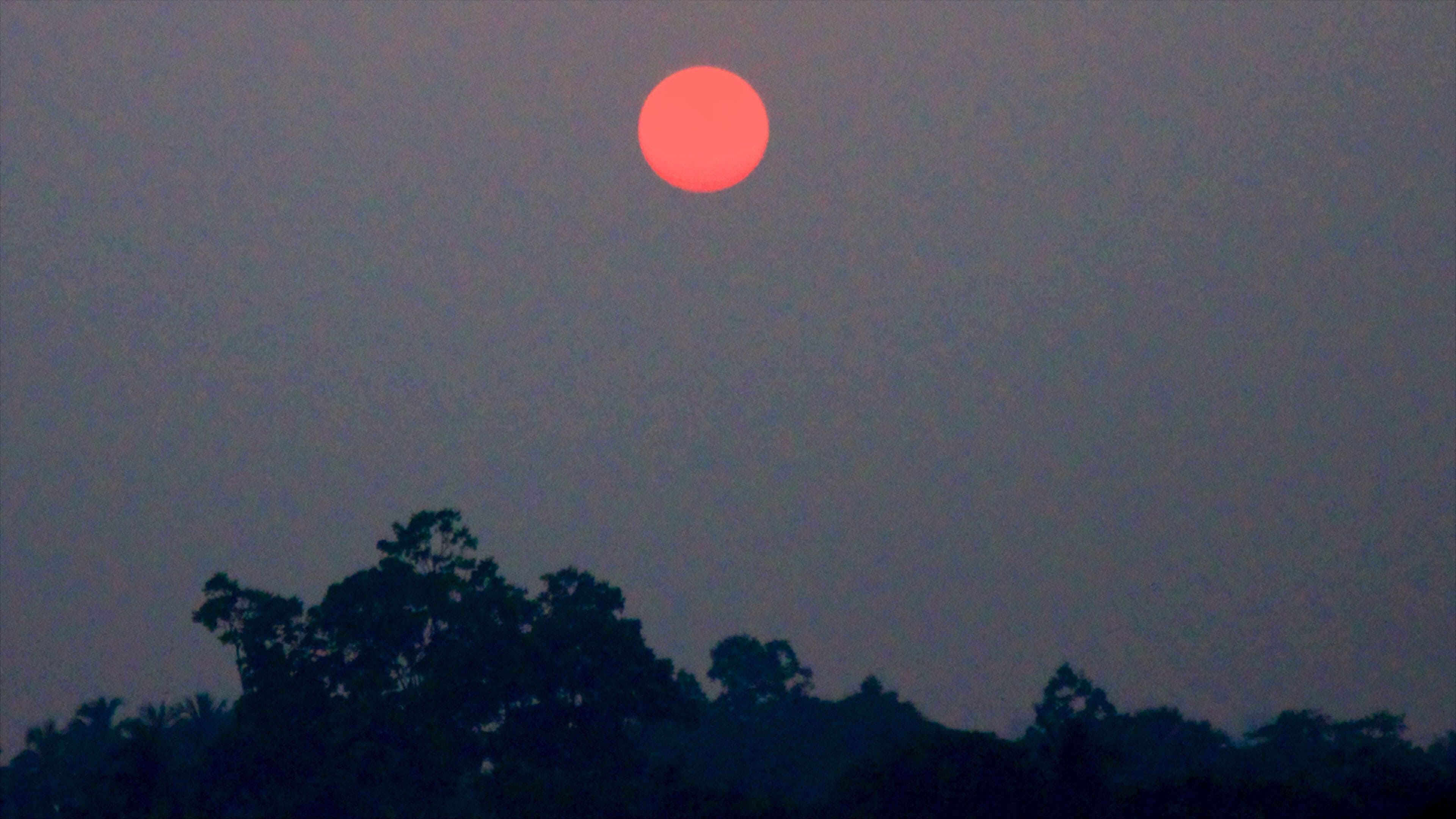 New Town Eco Park which includes night scenes