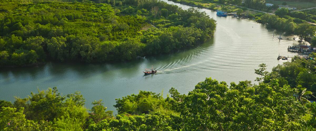 A river winding through a lush green landscape with hills in the background.