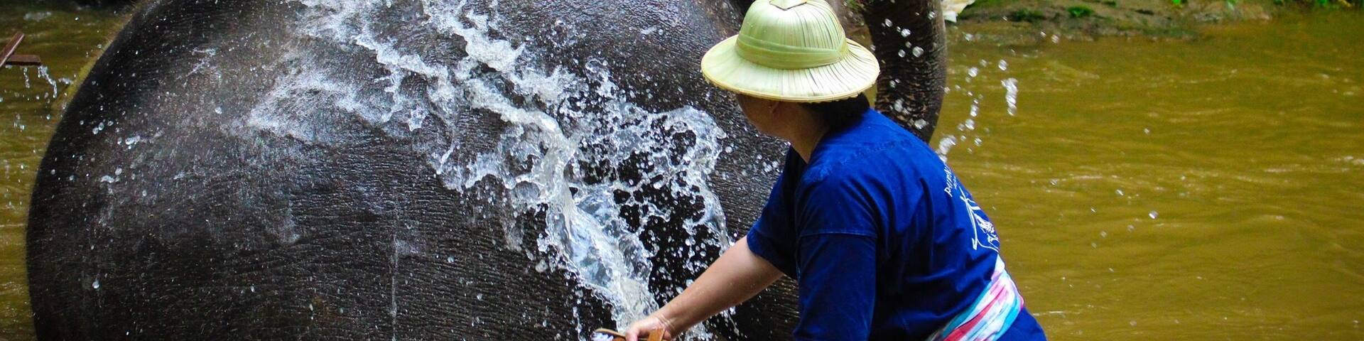 Here is a very wonderful place. I got a very awesome experience taking care of an elephant. A must visit place in Thailand.