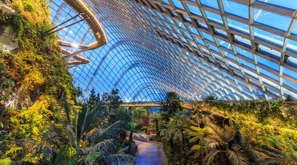 Singapore garden
