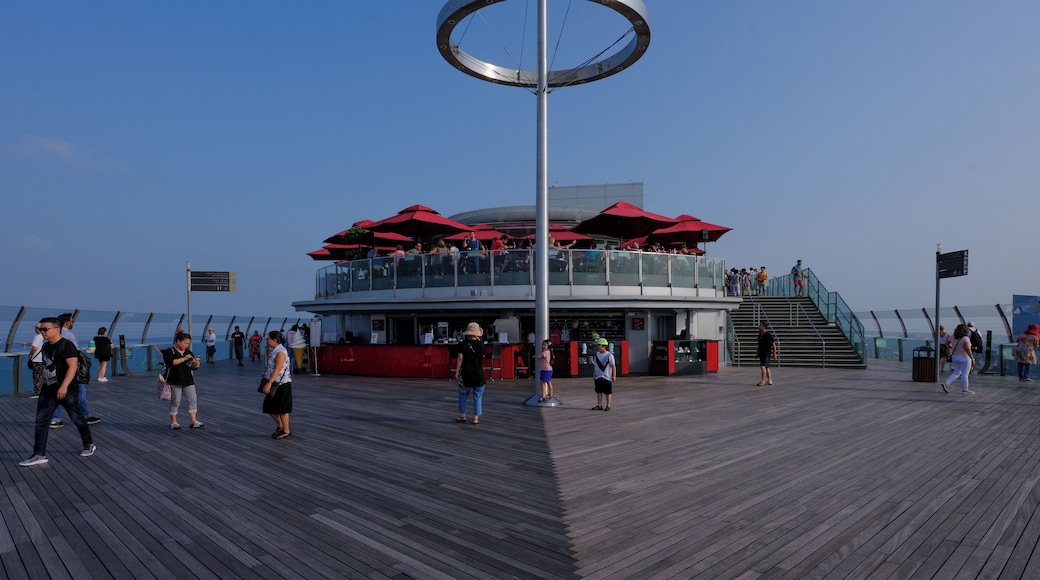 Singapore_MarinaBaySandsSkypark_553248621532743152_08