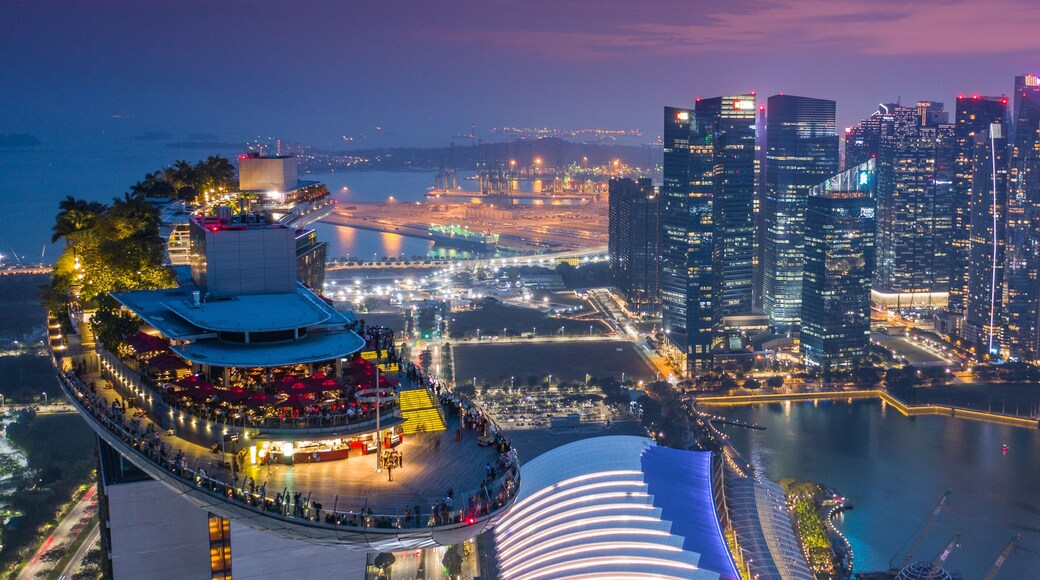Marina Bay Sands SkyPark