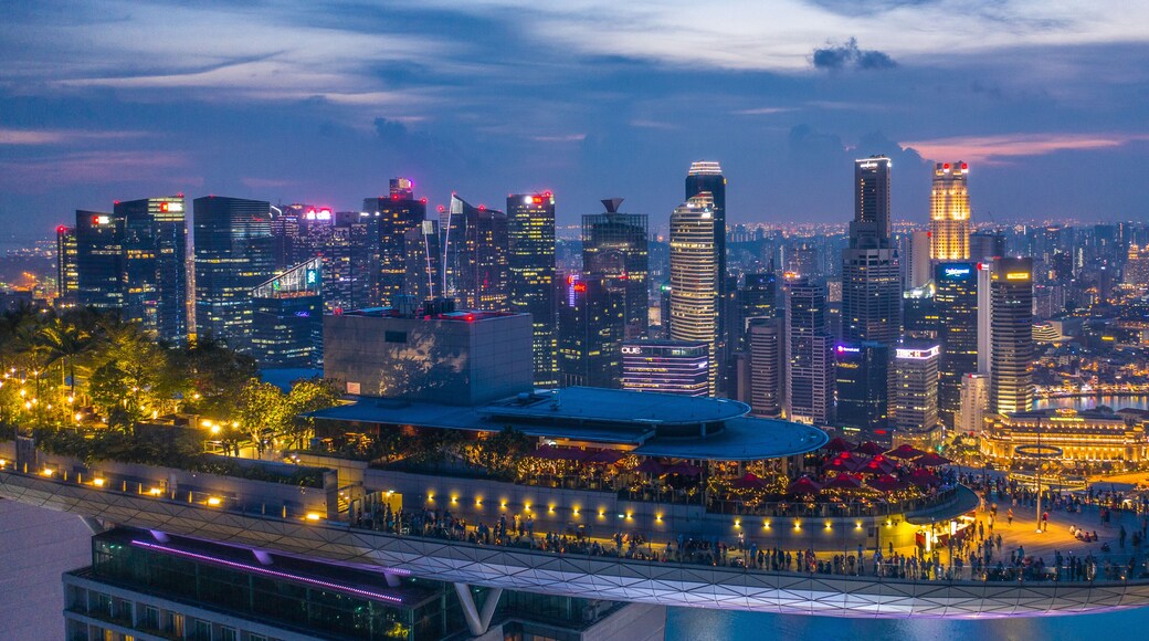 Marina Bay Sands SkyPark