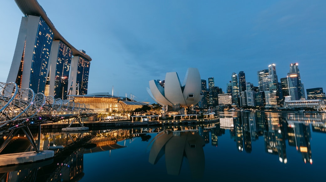 Helix Bridge showing night scenes, a city and a bay or harbor