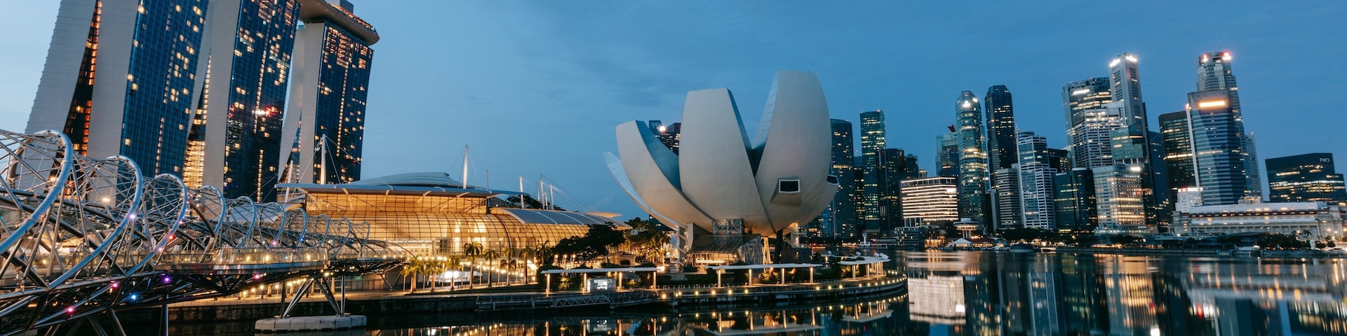 Helix Bridge showing night scenes, a city and a bay or harbor