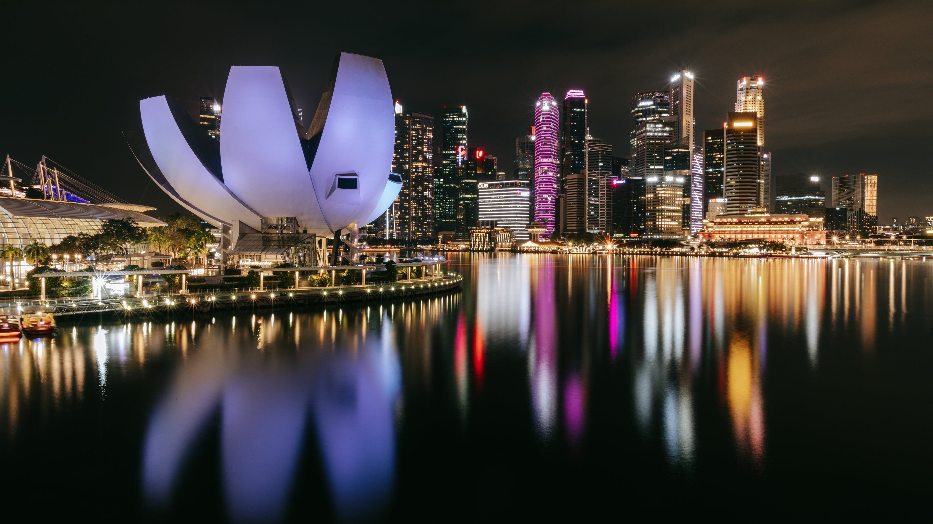 Helix Bridge showing a city, modern architecture and night scenes