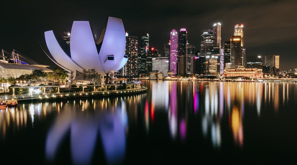 Helix Bridge showing a city, modern architecture and night scenes