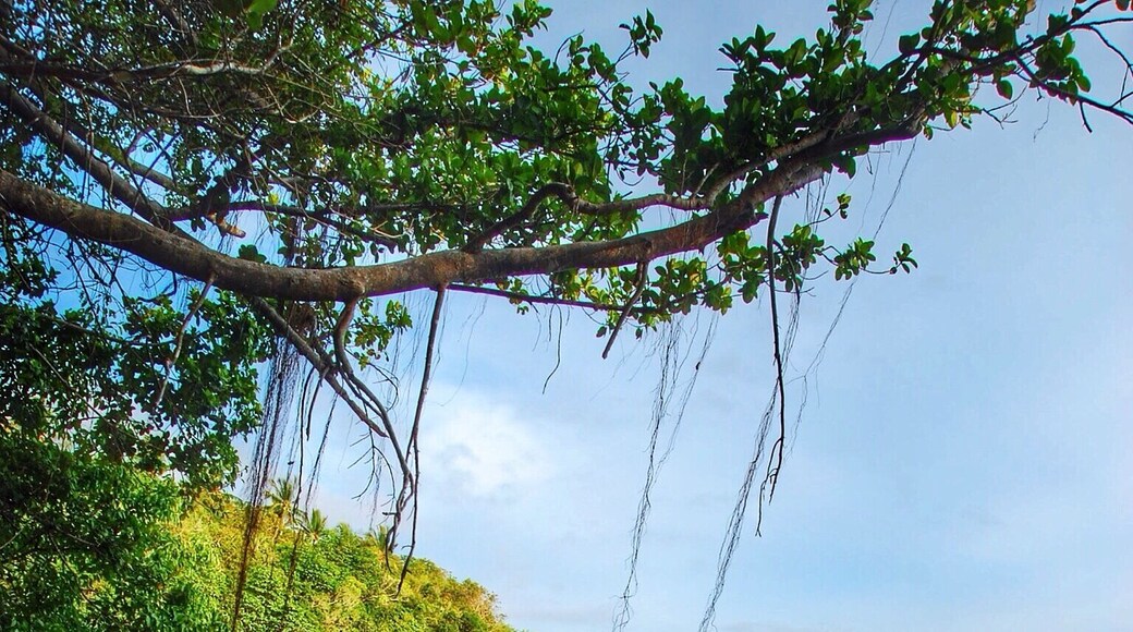 Gumasa, Glan, Sarangani province #beach