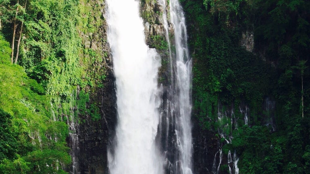 Hi everyone! Welcome to Maria Cristina Falls. This is the No. 1 falls in Iligan City. It provides power in most places in Mindanao. That's how amazing it is. Maria Cristina Falls is also known as the Twin Falls. A big stone on top separates the two. Iligan City, my city, takes pride on this particular falls. Many people come here for viewing. The place is really big. It even has an ecopark. As you enter the vicinity, you'll be amazed at how cool the whole place is. Trees surround you everywhere!
Happy travels,
Star, Iligan City, PH