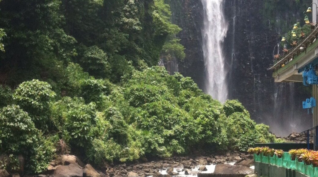 Maria Cristina Falls is a waterfall of the Agus River on the island of Mindanao. It is sometimes called the "twin falls" as the flow is separated by a rock at the brink of the waterfall.It is a landmark of Iligan City, nicknamed the City of Majestic Waterfalls, because of the presence of more than 20 waterfalls in the city.It is located 9.3 kilometers away southwest of the city proper at the boundaries of Barangays Maria Cristina, Ditucalan, and Buru-un.Well known for its natural beauty and grandeur, the 320 - feet (98 meters) high waterfall is also the primary source of electric power for the city's industries.(Wikipedia)
#thecityofmajesticfalls
#iligancity
#mindanao
#philippines
#asia