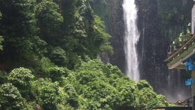 Maria Cristina Falls is a waterfall of the Agus River on the island of Mindanao. It is sometimes called the "twin falls" as the flow is separated by a rock at the brink of the waterfall.It is a landmark of Iligan City, nicknamed the City of Majestic Waterfalls, because of the presence of more than 20 waterfalls in the city.It is located 9.3 kilometers away southwest of the city proper at the boundaries of Barangays Maria Cristina, Ditucalan, and Buru-un.Well known for its natural beauty and grandeur, the 320 - feet (98 meters) high waterfall is also the primary source of electric power for the city's industries.(Wikipedia)
#thecityofmajesticfalls
#iligancity
#mindanao
#philippines
#asia