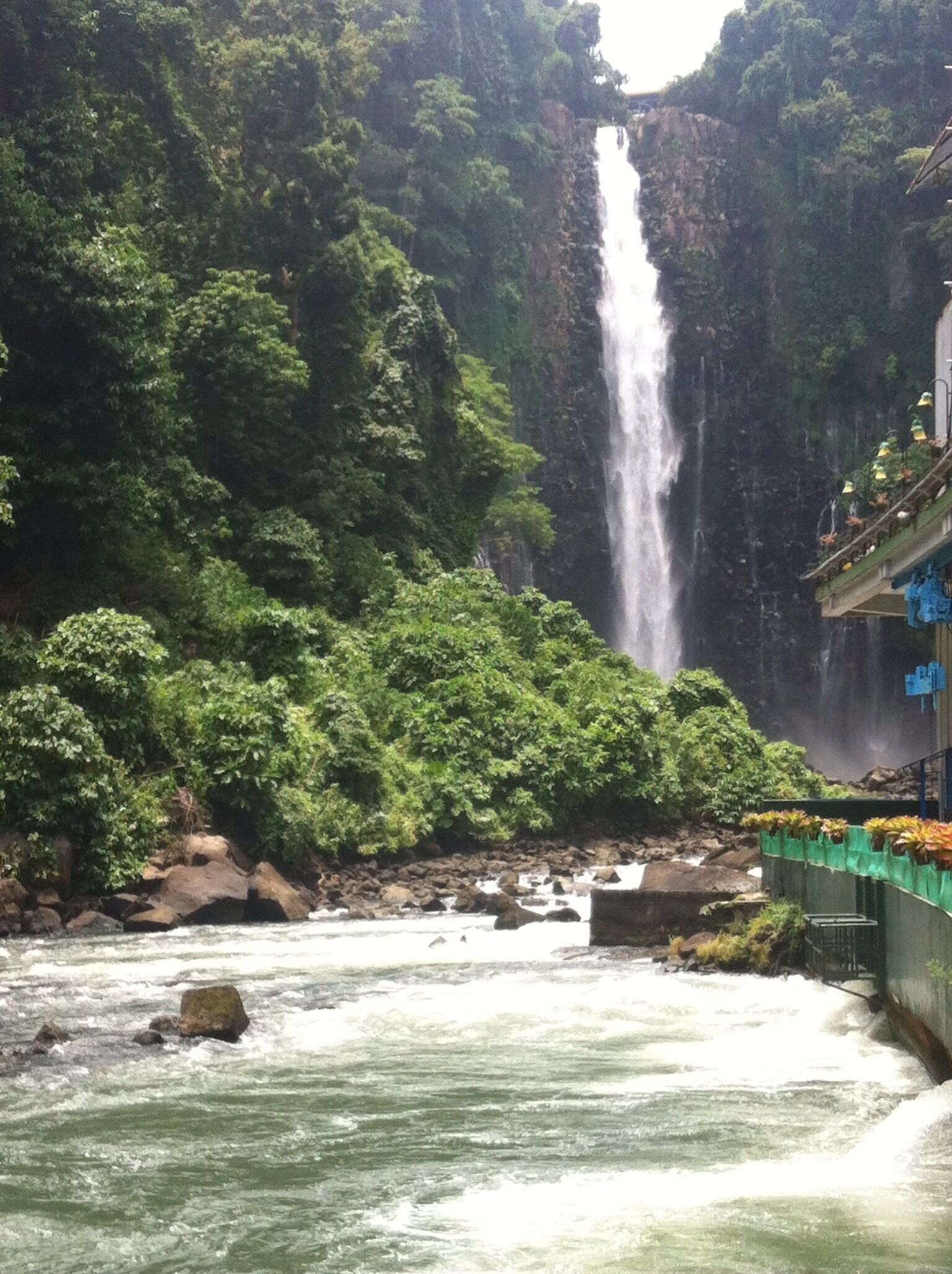 A waterfall cascading down a cliff surrounded by dense green foliage.
