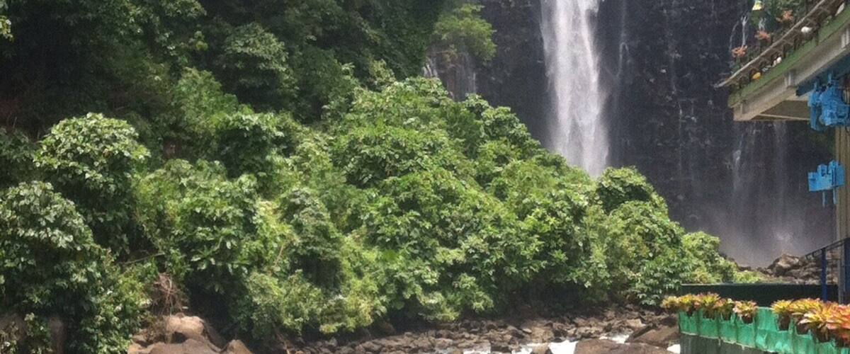A waterfall cascading down a cliff surrounded by dense green foliage.