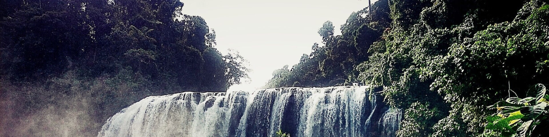A waterfall cascading into a river surrounded by lush greenery.