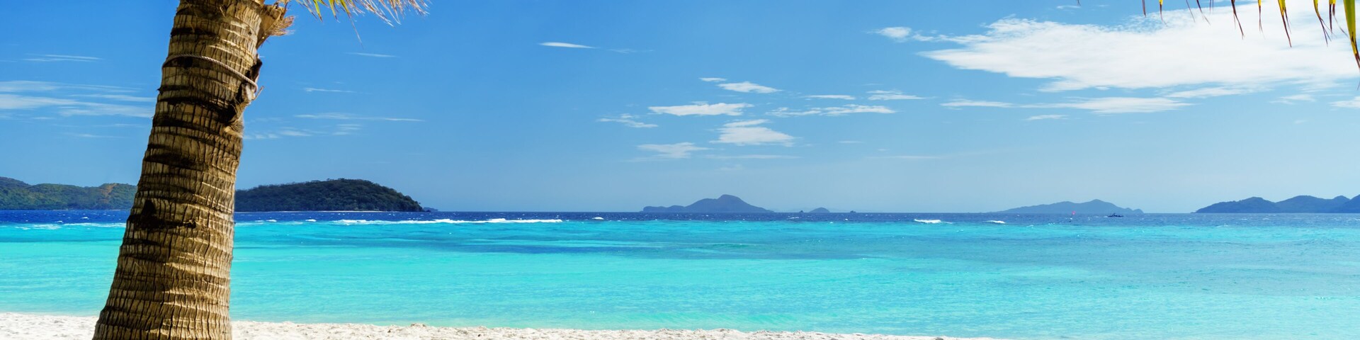 Green tree on white sand beach. Malcapuya island, Palawan, Philippines.