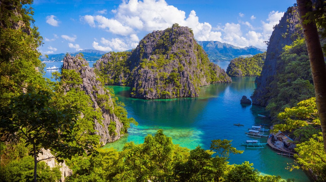 Coron