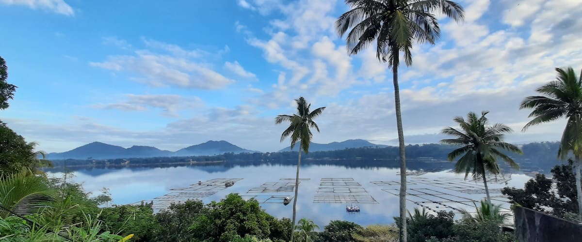 A calm lake surrounded by palm trees and mountains under a partly cloudy sky.