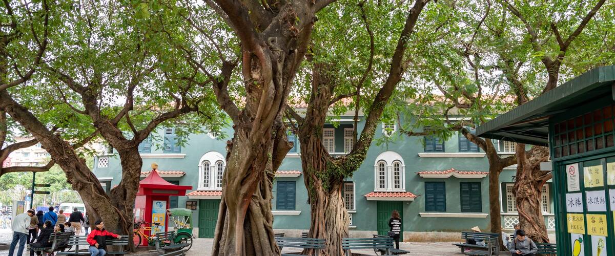 Barra Square which includes a park